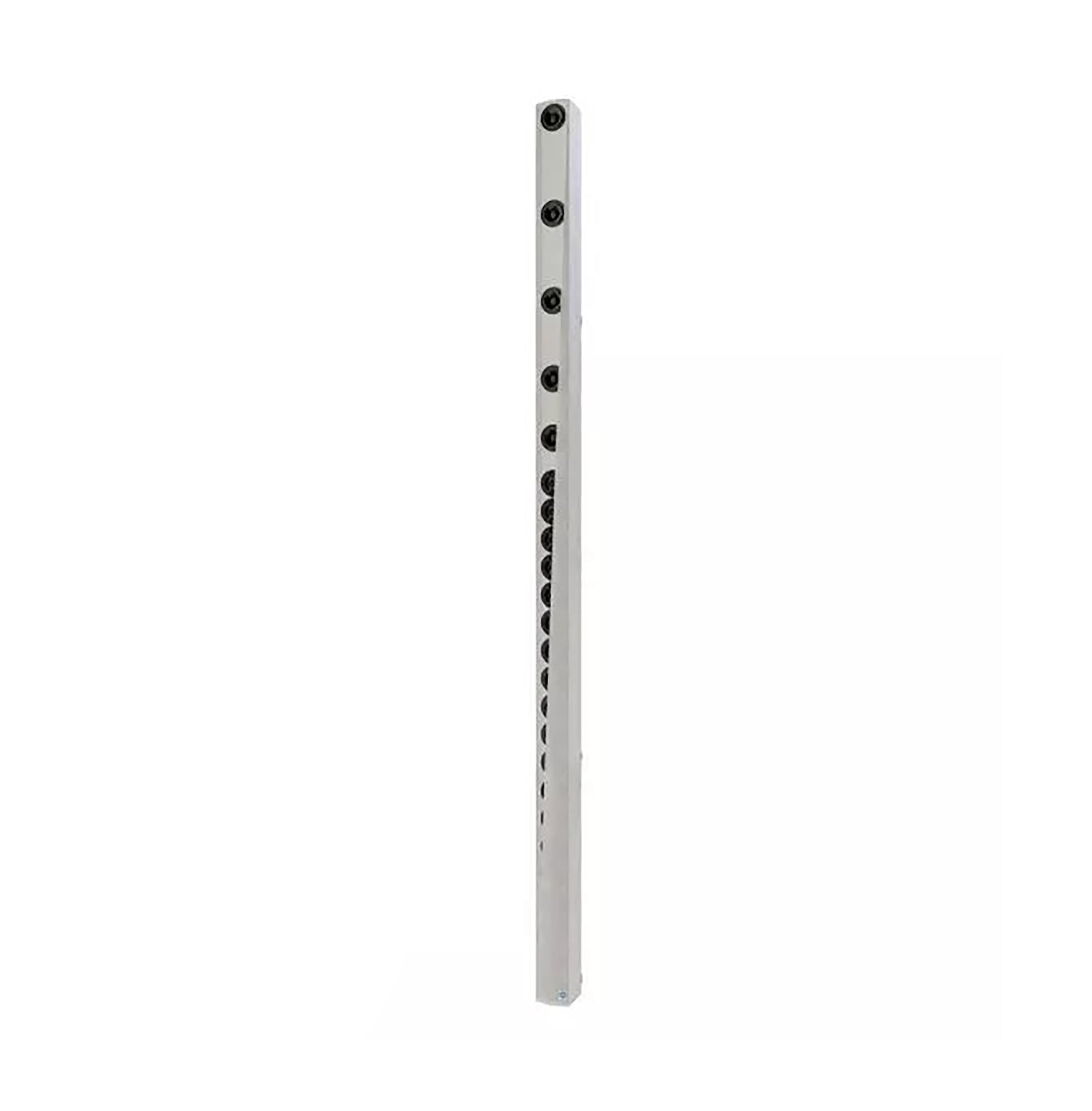 Renkus Heinz IC32-24-RD-WT, Iconyx Master Speaker with Dante Networking - White by Renkus-Heinz