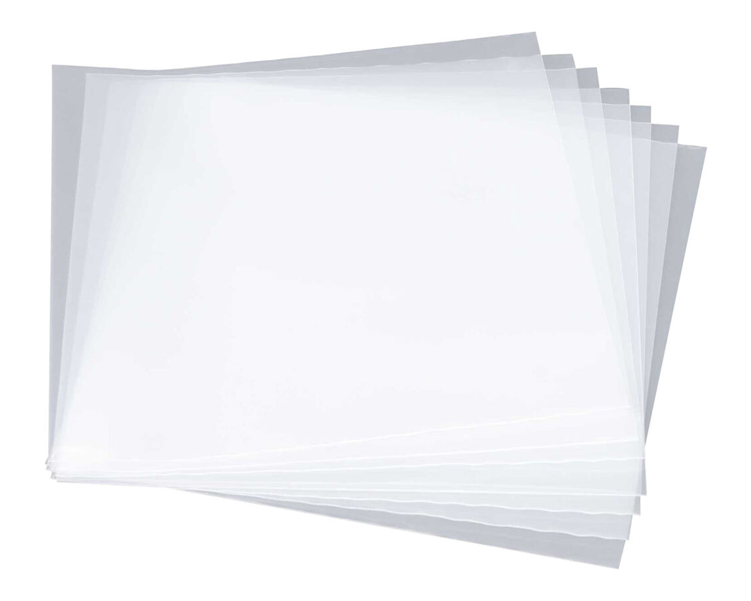 Reloop Premium 12“ Vinyl LP Outer Sleeves - 100 Pack by Reloop