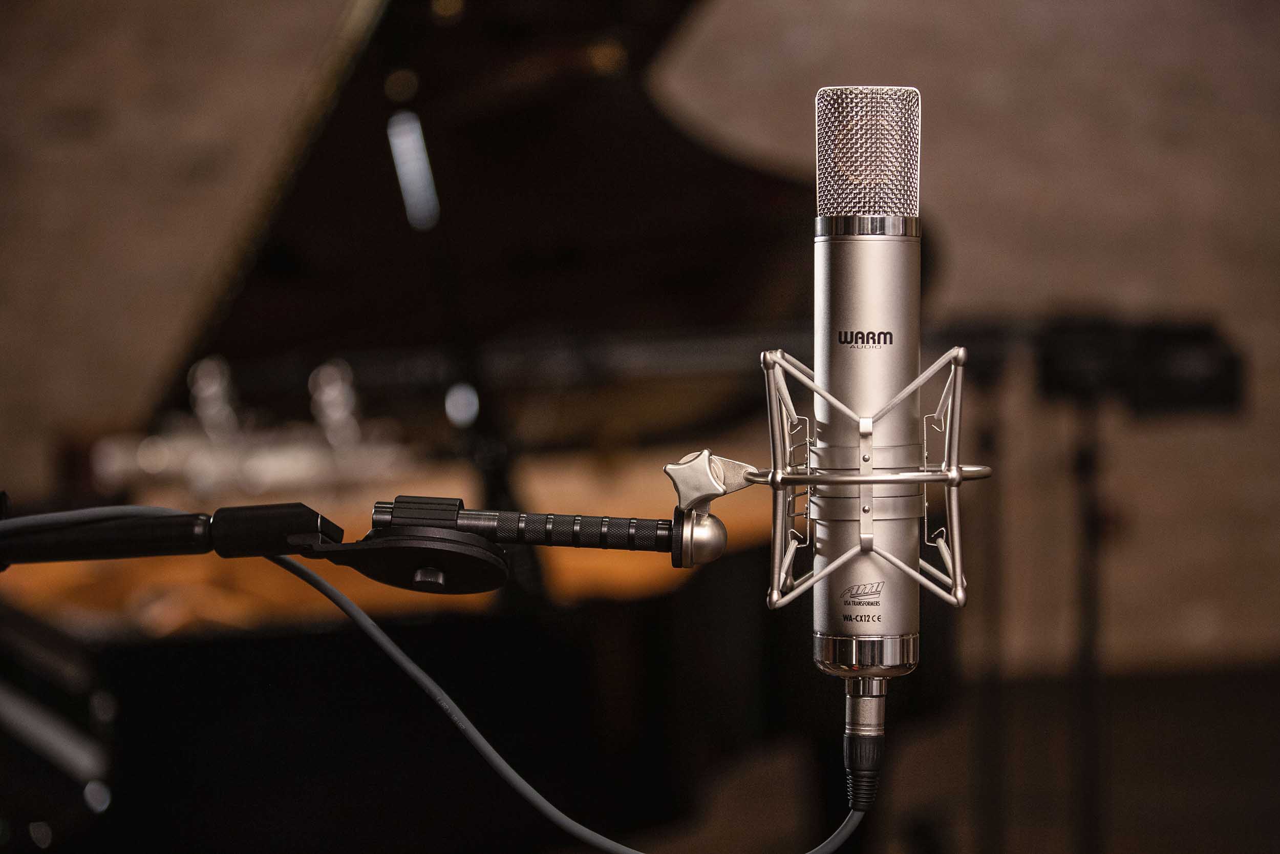 Warm Audio WA-CX12 Tube Condenser Microphone with 9 Patterns and Vintage Sound by Warm Audio