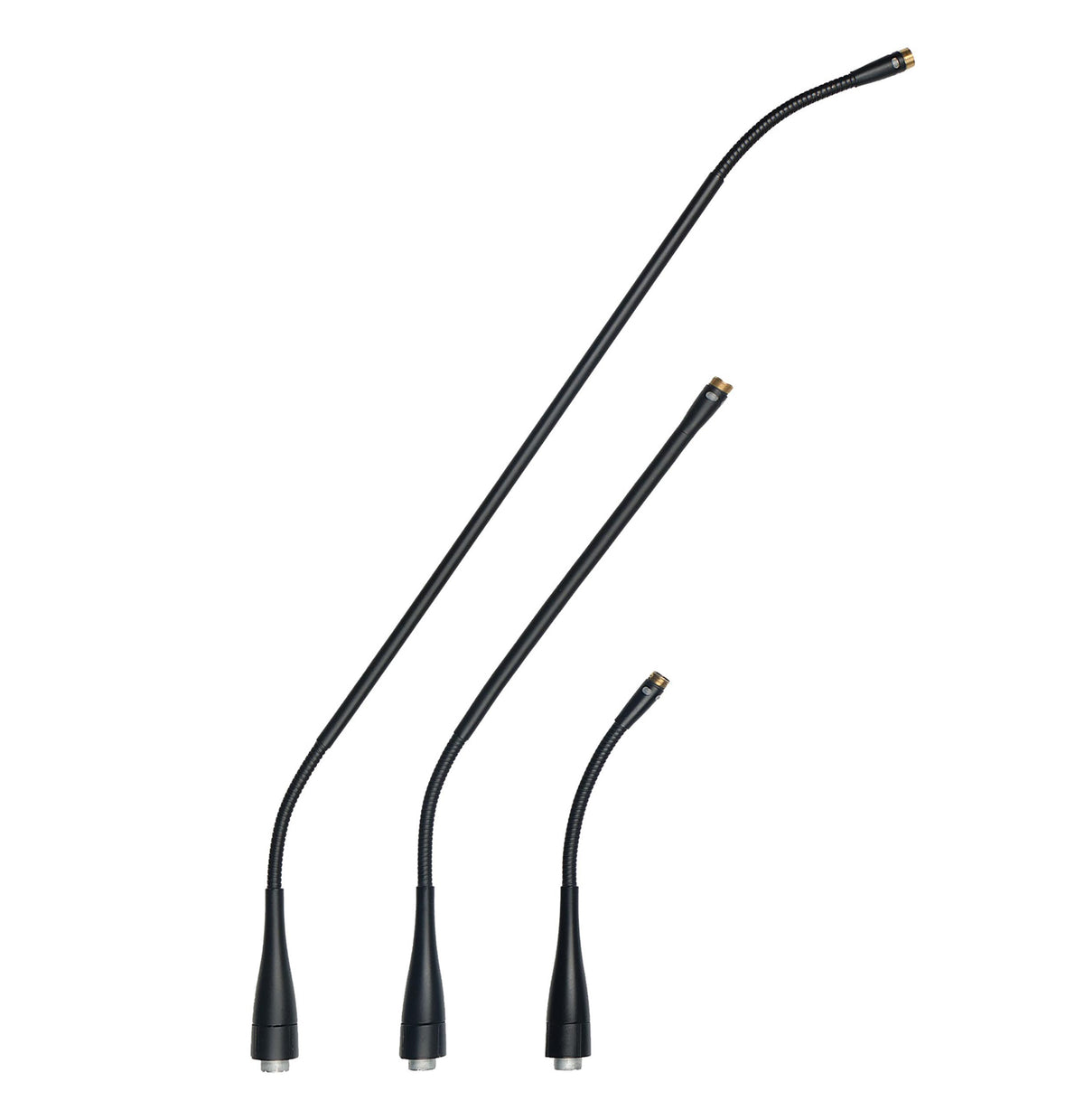 AKG GN15 M 6.5" Gooseneck Microphone Module DAM+ Compatible