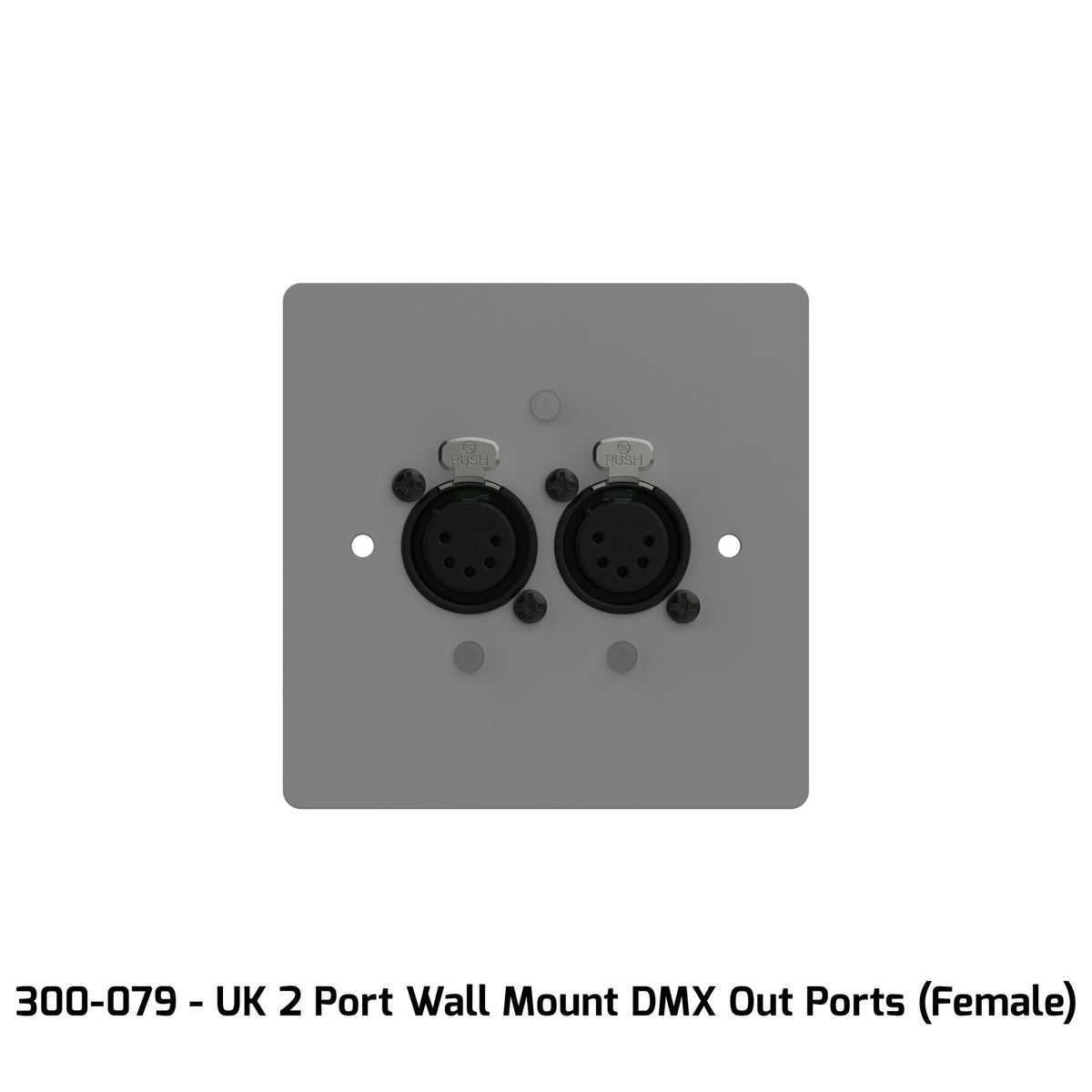 ChamSys GeNetix GW2O DMX Out Wall Mount Node 2-Port