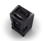 LD System ANNY 10 HHD 2 B4.7, 10" Portable Battery-Powered Bluetooth PA System with Mixer and 2x Wireless Handheld Microphones by LD Systems