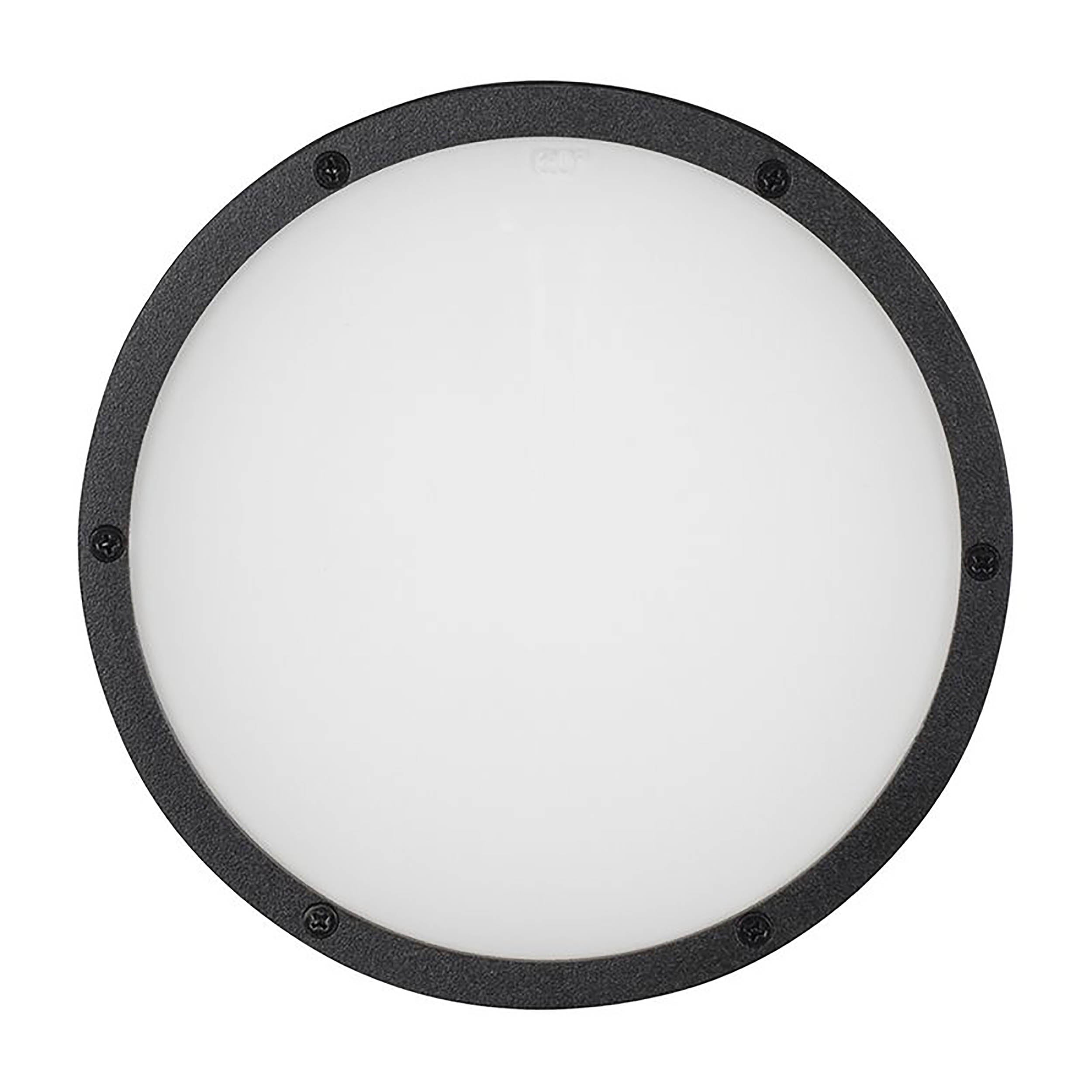 ADJ ELP12L, Frost Filter Accessory for Encore LP12IP LED Par Fixture by ADJ