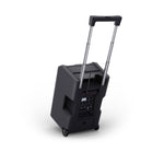 LD System ANNY 10 HHD 2 B4.7, 10" Portable Battery-Powered Bluetooth PA System with Mixer and 2x Wireless Handheld Microphones by LD Systems
