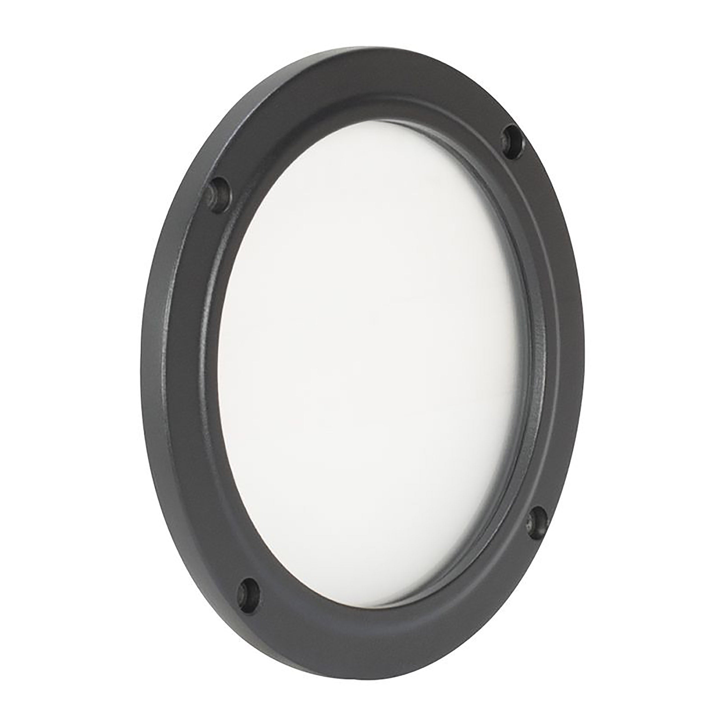 ADJ ELP5L, Optional Frost Filter for Encore LP5IP Fixture by ADJ