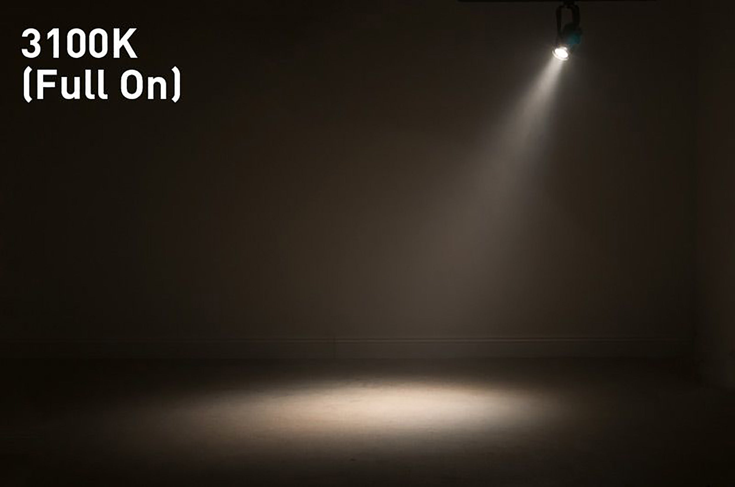 ADJ Saber Spot DTW, Pin Spot Lighting Fixture - 15 Watt by ADJ