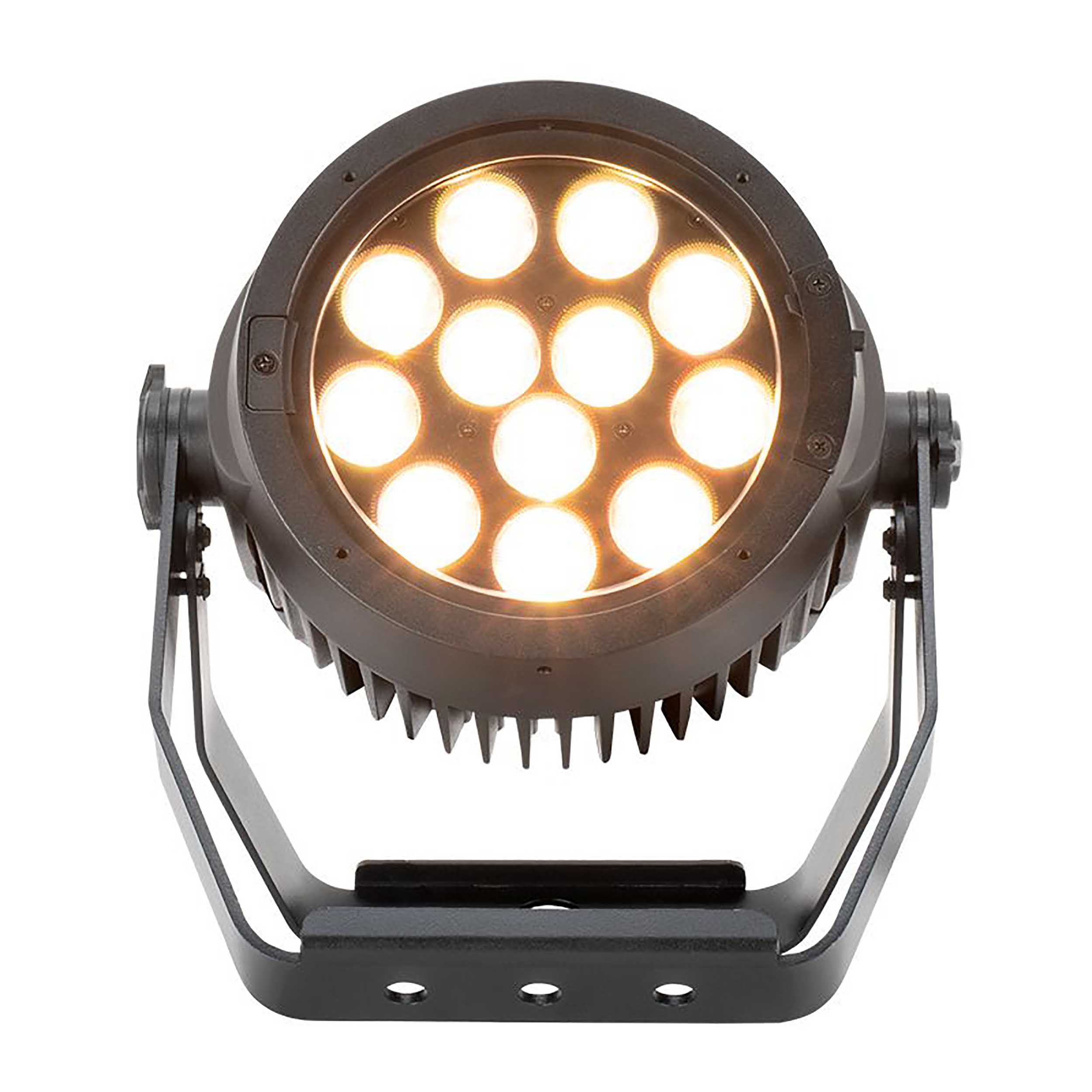 ADJ Encore LP12IP, Heavy Duty Par with Twelve (12) 20W Quad (RGBL) LEDs and 10° Beam Angle by ADJ