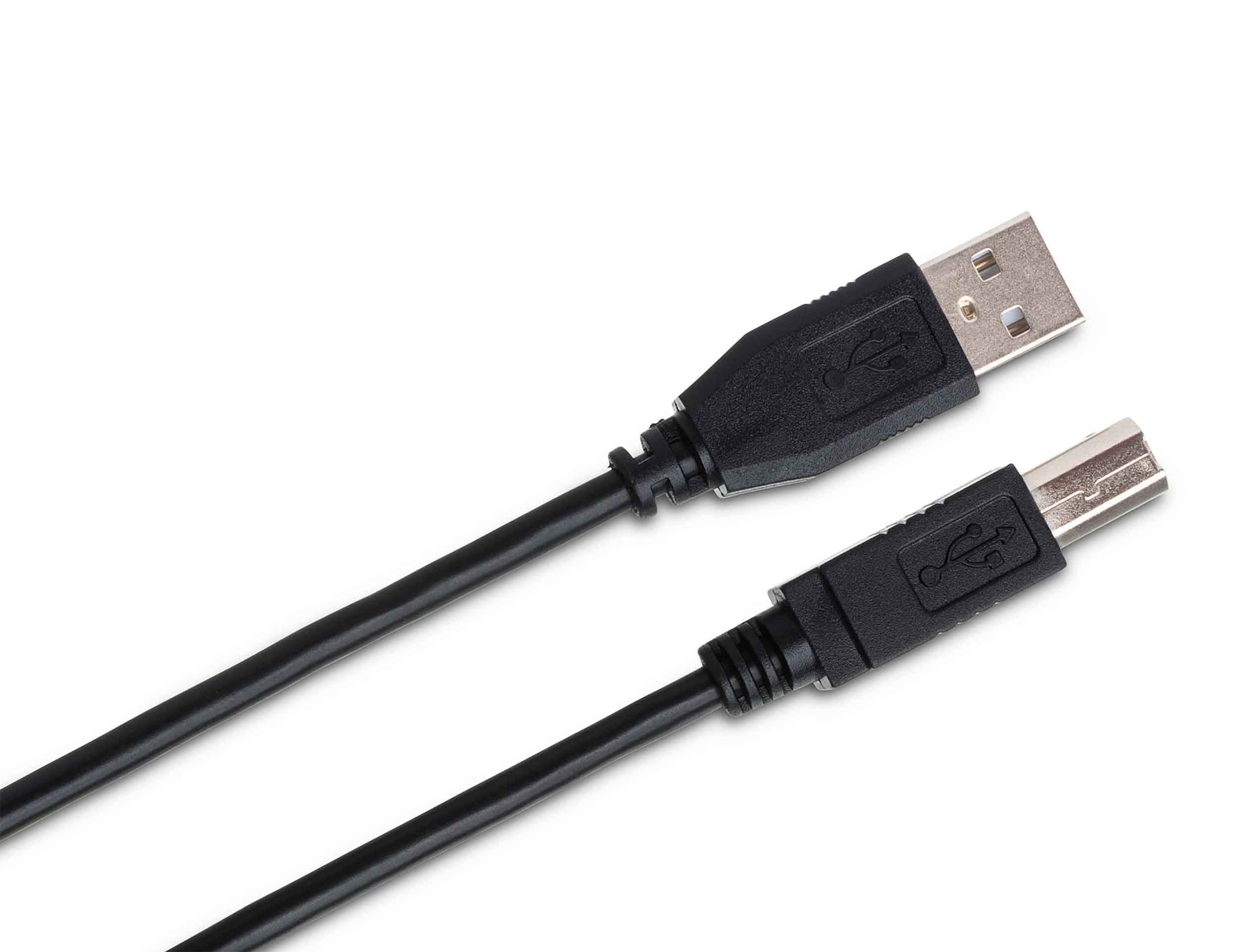 Hosa USB-210AB High Speed USB Cable Type A to Type B – 10 Feet by Hosa
