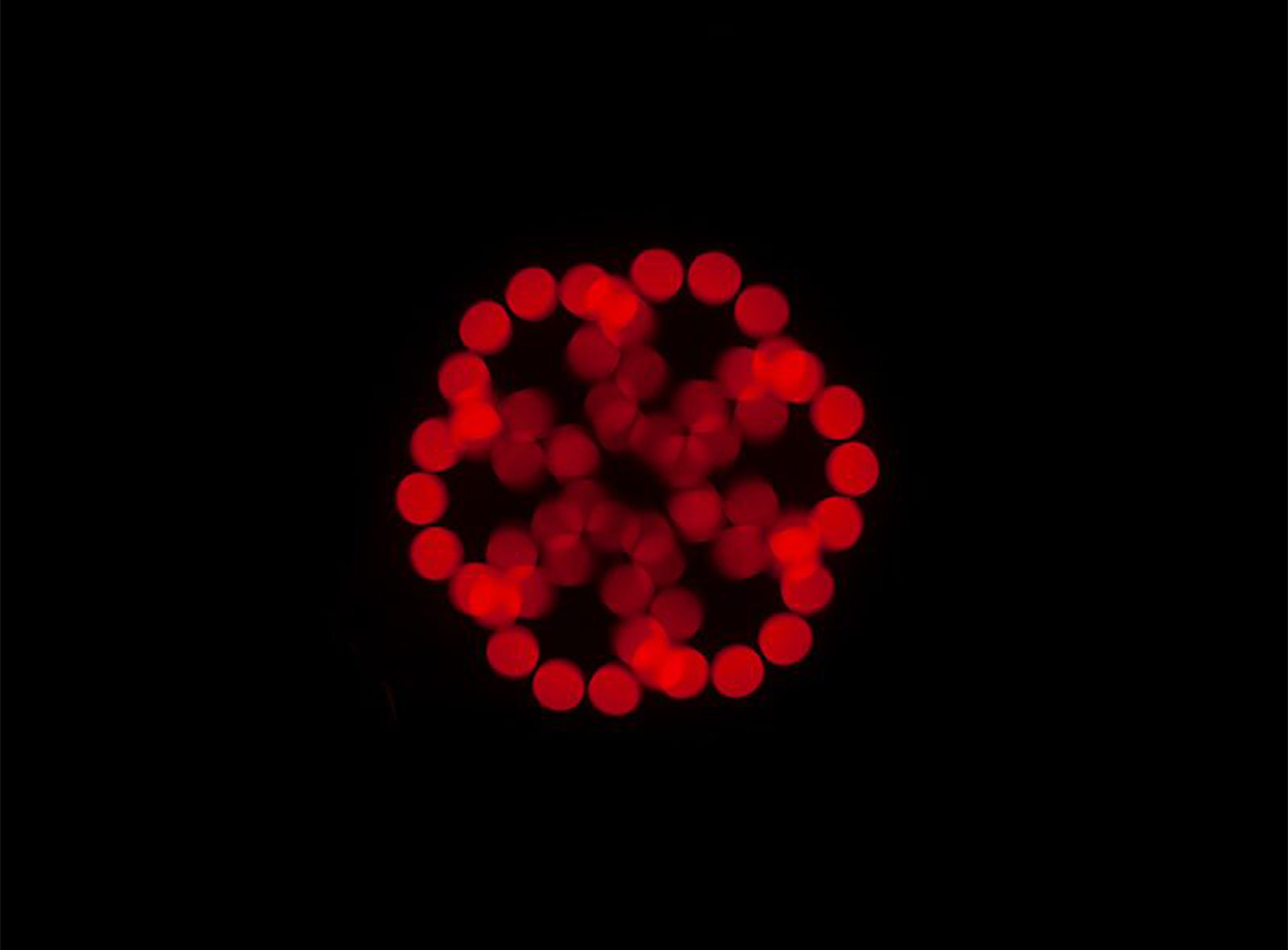 ADJ Focus Spot 5Z, Moving Head Light with 200-Watt Cool White LED Engine by ADJ