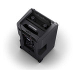 LD System ANNY 10 HHD 2 B5.1, 10" Portable Battery-Powered Bluetooth PA System with Mixer and 2x Wireless Handheld Microphones by LD Systems