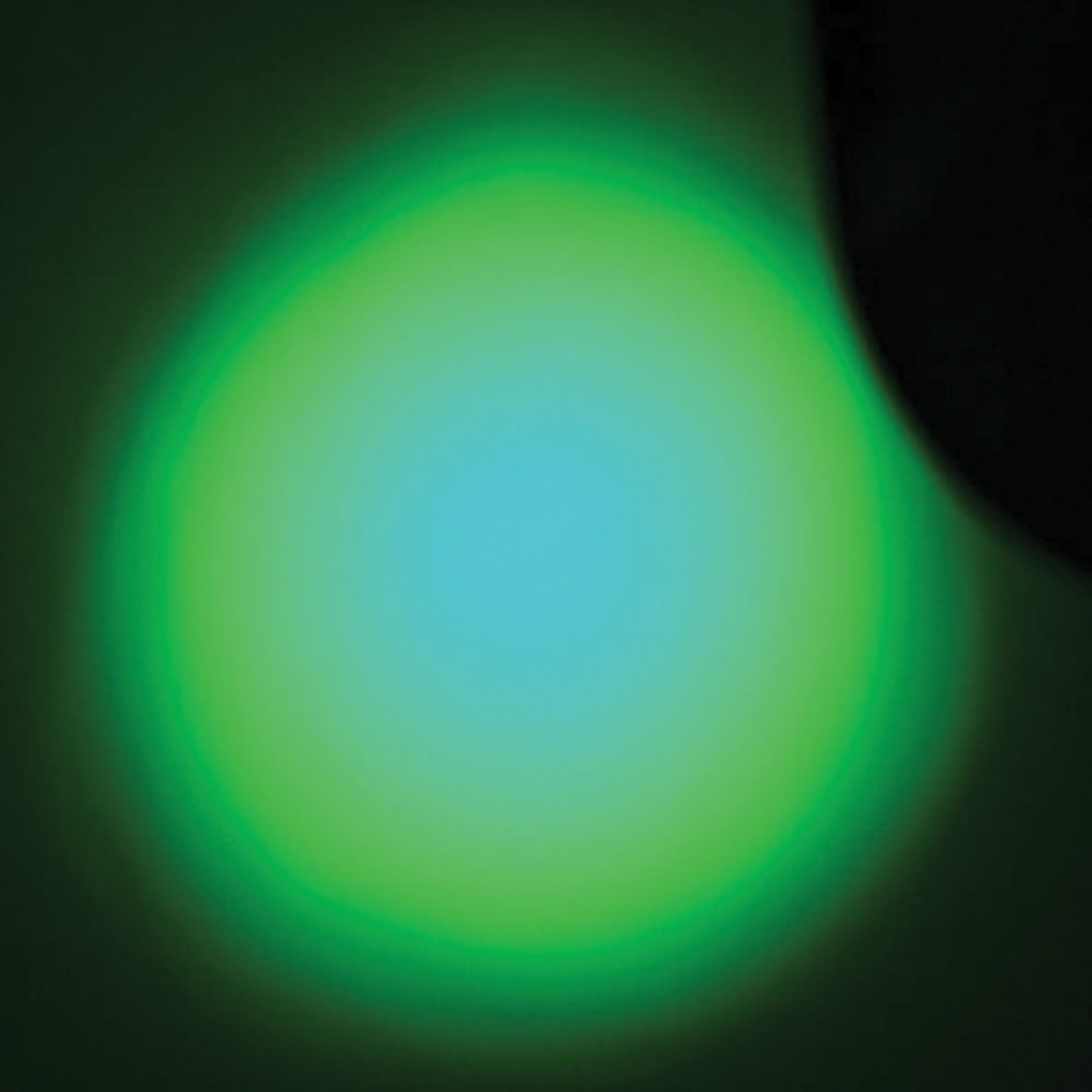 B-Stock: Blizzard Lighting The Puck, Flat LED Light with Remote by BLIZZARD LIGHTING