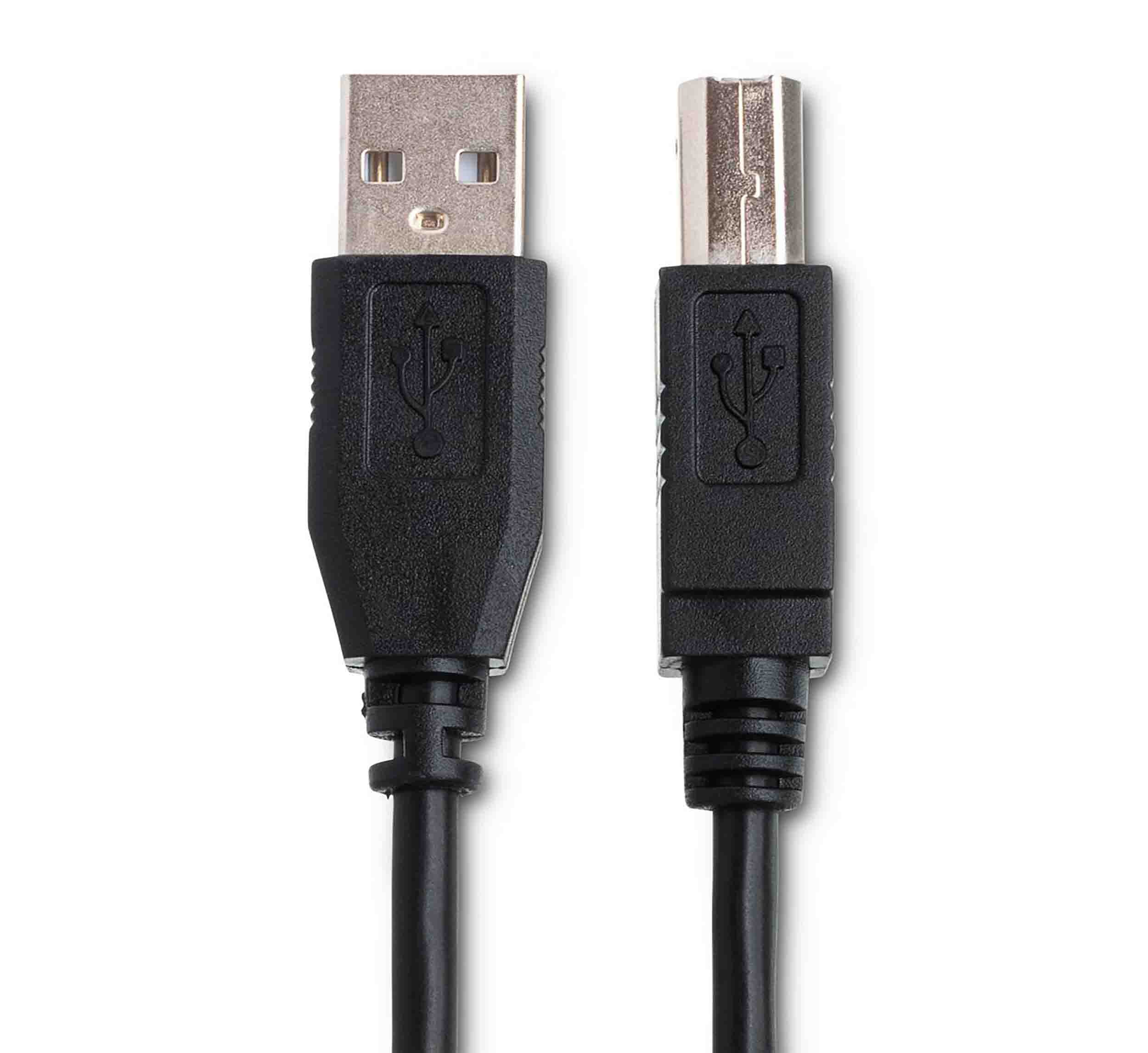 Hosa USB-210AB High Speed USB Cable Type A to Type B – 10 Feet by Hosa