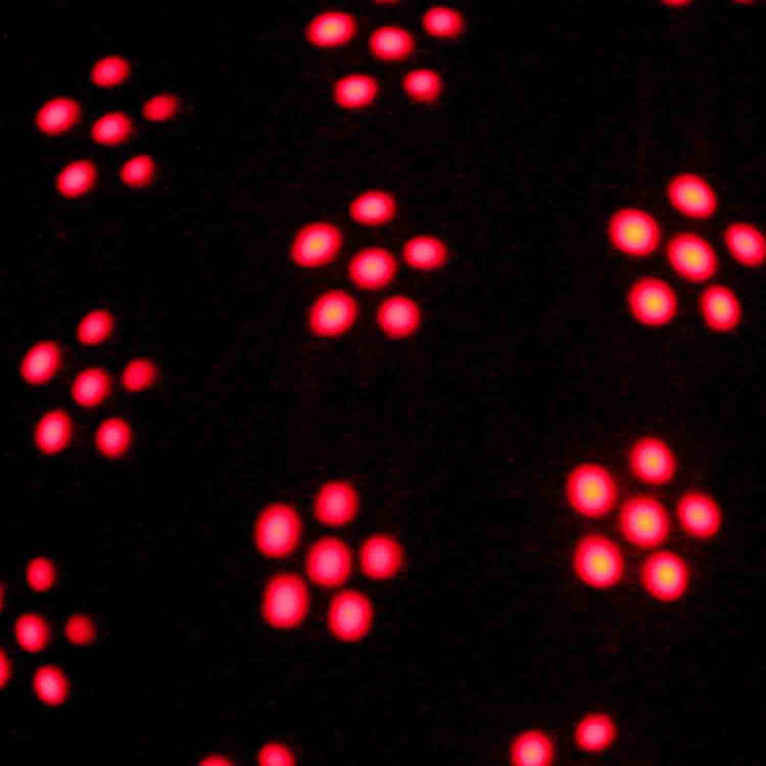 ProX X-604LED Titan Moonflower Style Effect Fixture - Hollywood DJ