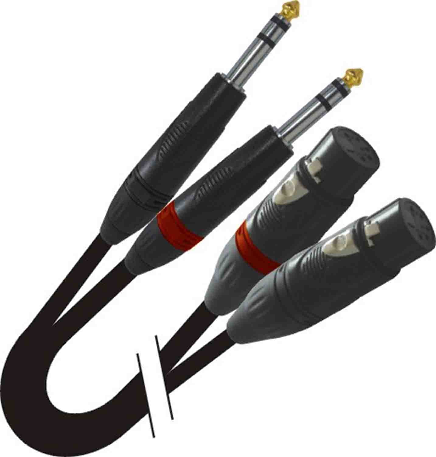 Prox XC-DSXF10 Balanced Dual 1/4" TRS-M to Dual XLR3-F High Performance Audio Cable - 10 Feet - Hollywood DJ