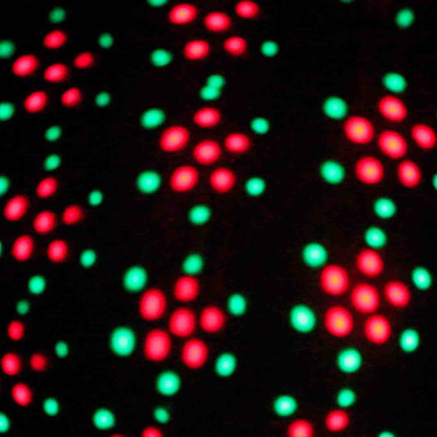 ProX X-604LED Titan Moonflower Style Effect Fixture - Hollywood DJ