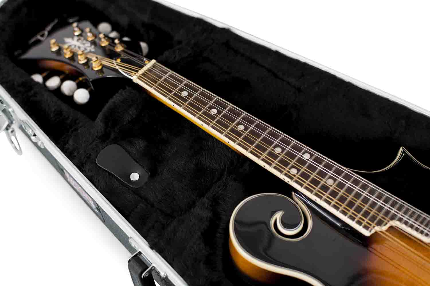 Gator Cases GC-MANDOLIN Deluxe Molded Guitar Case for Both A and F Style Mandolins Guitar - Hollywood DJ