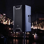 LD System ICOA 12, 12 Inch Passive Coaxial PA Loudspeaker - Hollywood DJ