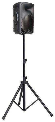 Mackie C200 10" 2-way Compact Passive SR Loudspeaker - Hollywood DJ