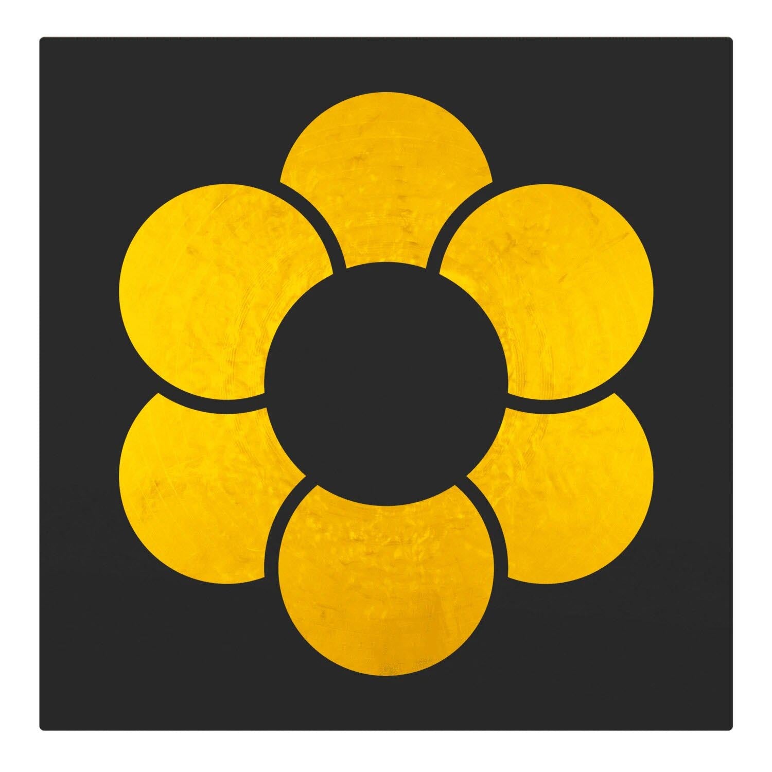 Serato SCV-SP-074-G2 Sacred Geometry II - Conception (pair) - Hollywood DJ