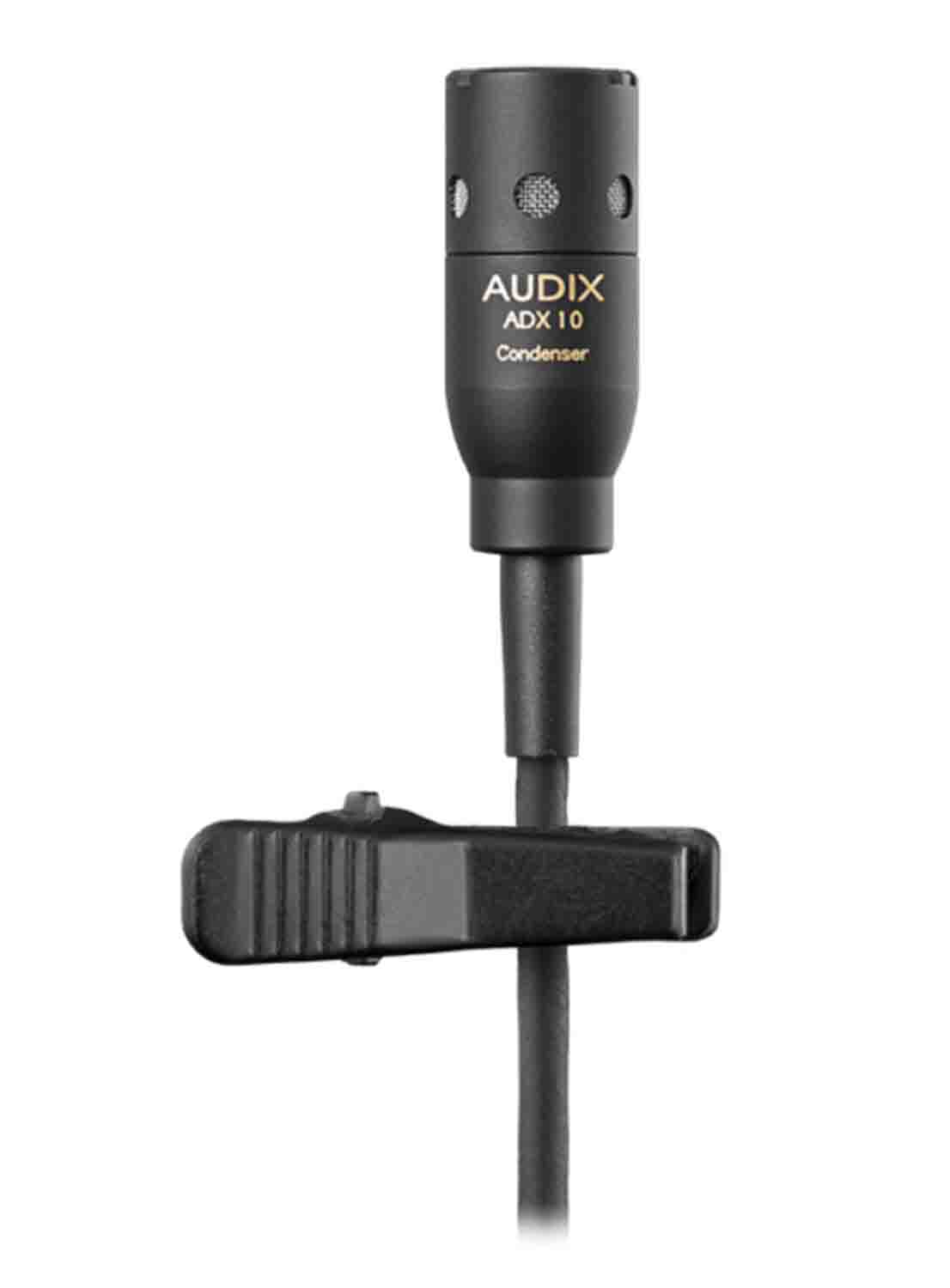 Audix AP42 C210 Dual-Channel Combo OM2 Handheld and ADX10 Lavalier Wireless System - Hollywood DJ