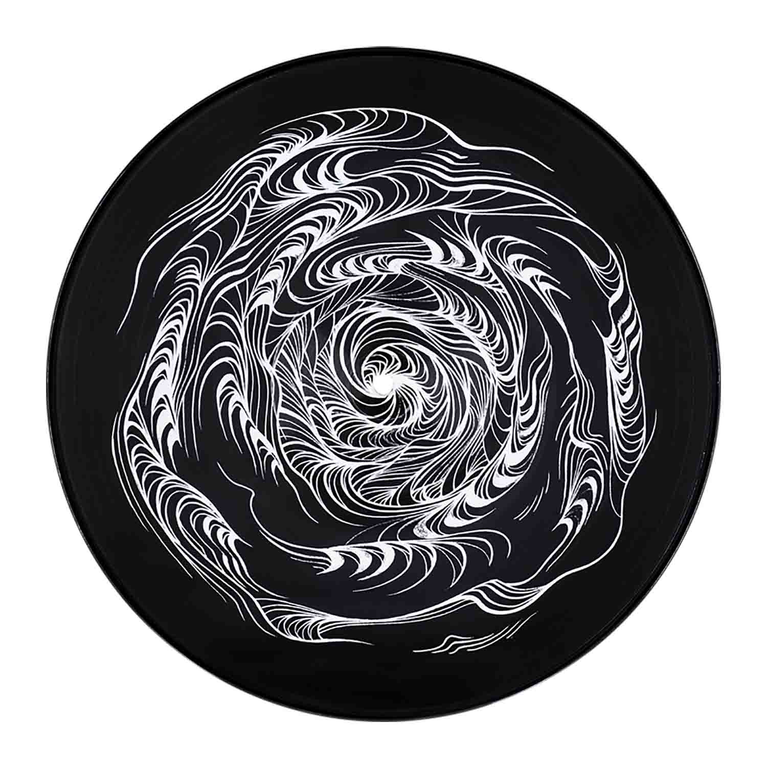 Serato David Ellis Sidewinder Picture Disc 12 Inch Control Vinyl Pressing for Serato DJ Pro - Pair - Hollywood DJ