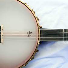How Many Strings Are on a Typical Banjo?