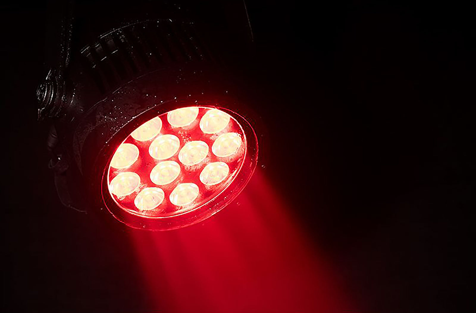 ADJ Encore LP12IP, Heavy Duty Par with Twelve (12) 20W Quad (RGBL) LEDs and 10° Beam Angle by ADJ