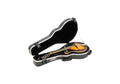 SKB F-Style Mandolin Case by SKB Cases