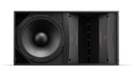 Bose AM10 80X10, Arena Match Outdoor Loudspeaker - Black by Bose