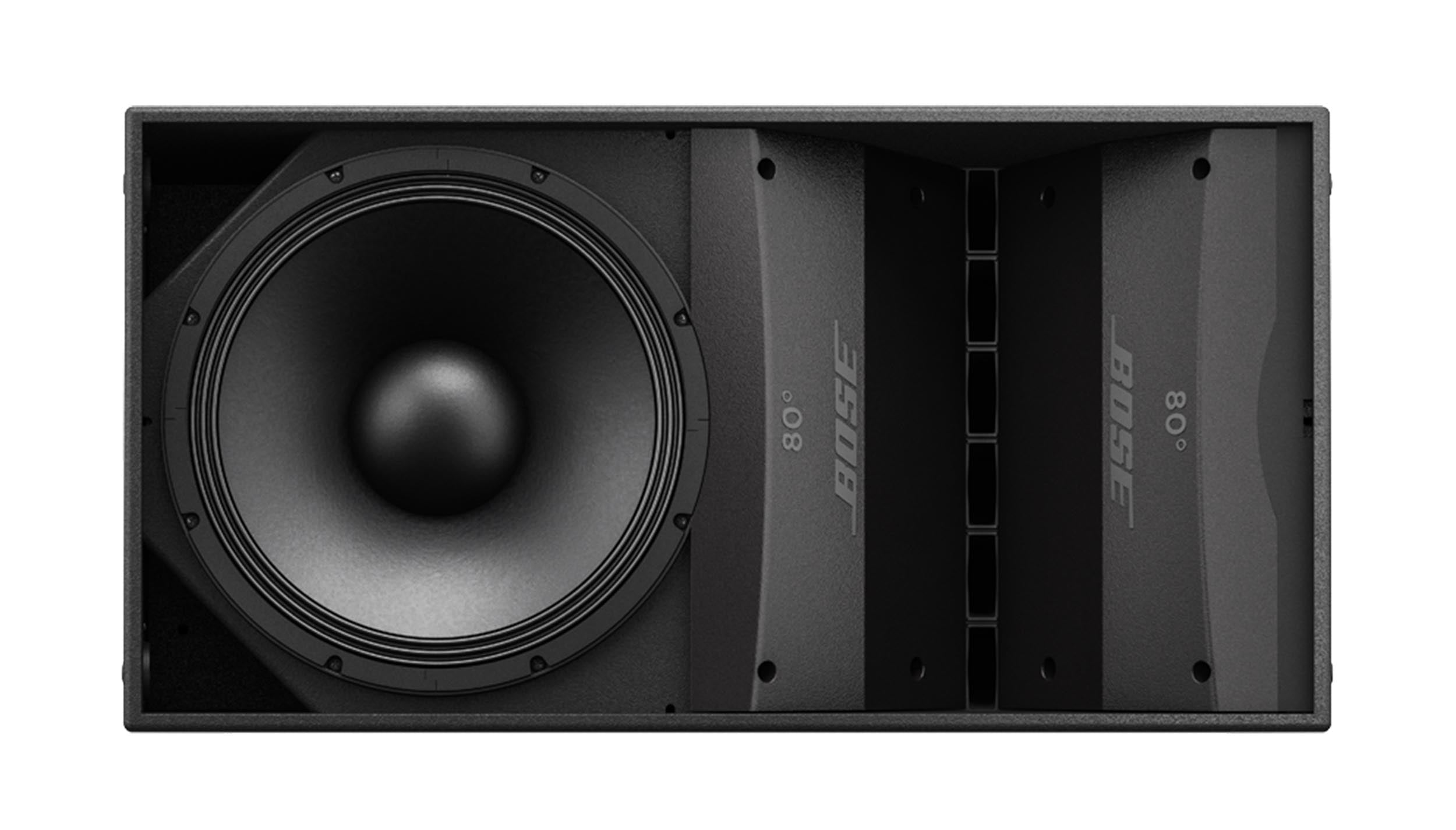 Bose ARENAMATCH AM10/100, Professional Outdoor Loudspeaker by Bose