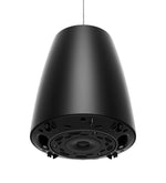 Bose DESIGNMAX DM3P BLACK, Pendant Loudspeaker - Pair, Black by Bose