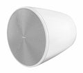 Bose DM10P-SUB WHITE, 10 Inch 300-Watt Pendant Subwoofer - White by Bose