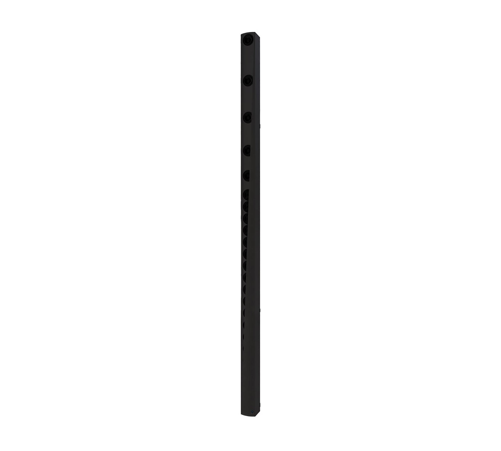 Renkus Heinz IC32-24-RD-BK, Iconyx Master Speaker with Dante Networking - Black by Renkus-Heinz