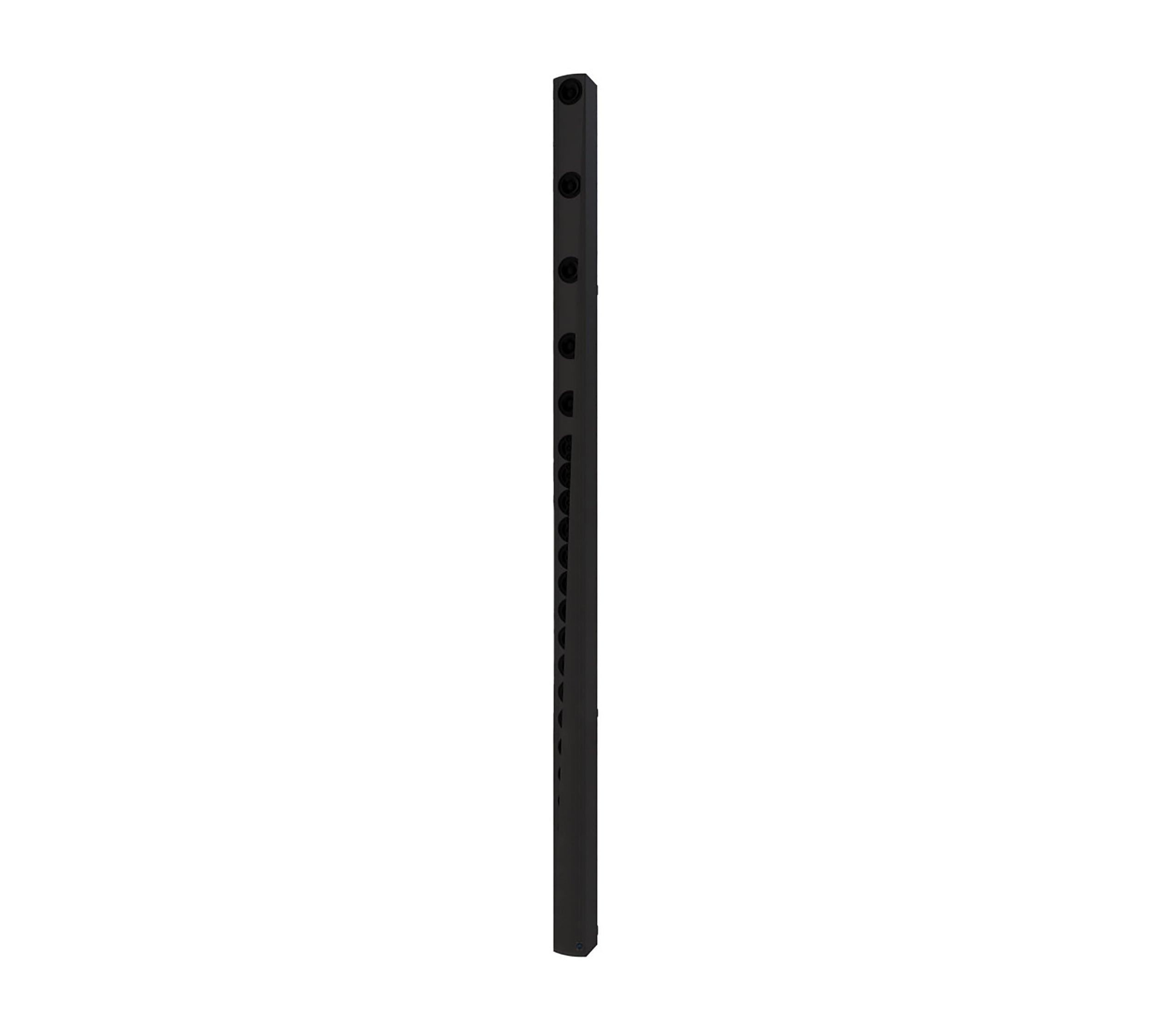 Renkus Heinz IC32-24-RD-BK, Iconyx Master Speaker with Dante Networking - Black by Renkus-Heinz