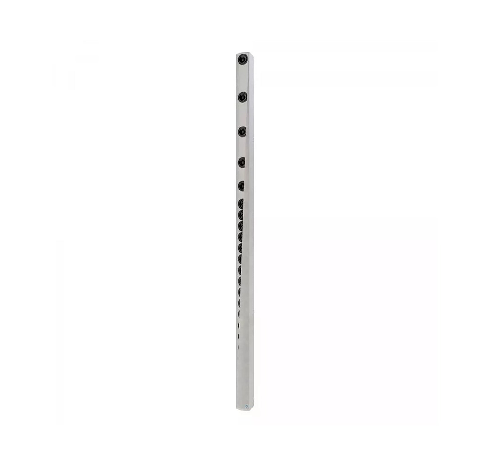Renkus Heinz IC32-24-RN-CC, Digitally Steerable Line Array Loudspeaker System - Custom Color by Renkus-Heinz