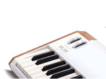 Arturia AstroLab 61-key Stage Keyboard by Arturia