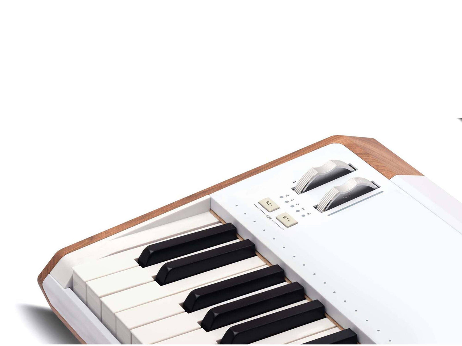 Arturia AstroLab 61-key Stage Keyboard by Arturia
