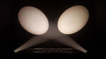 Blizzard Aria Profile WW LED Ellipsoidal Spot Fixture by BLIZZARD LIGHTING