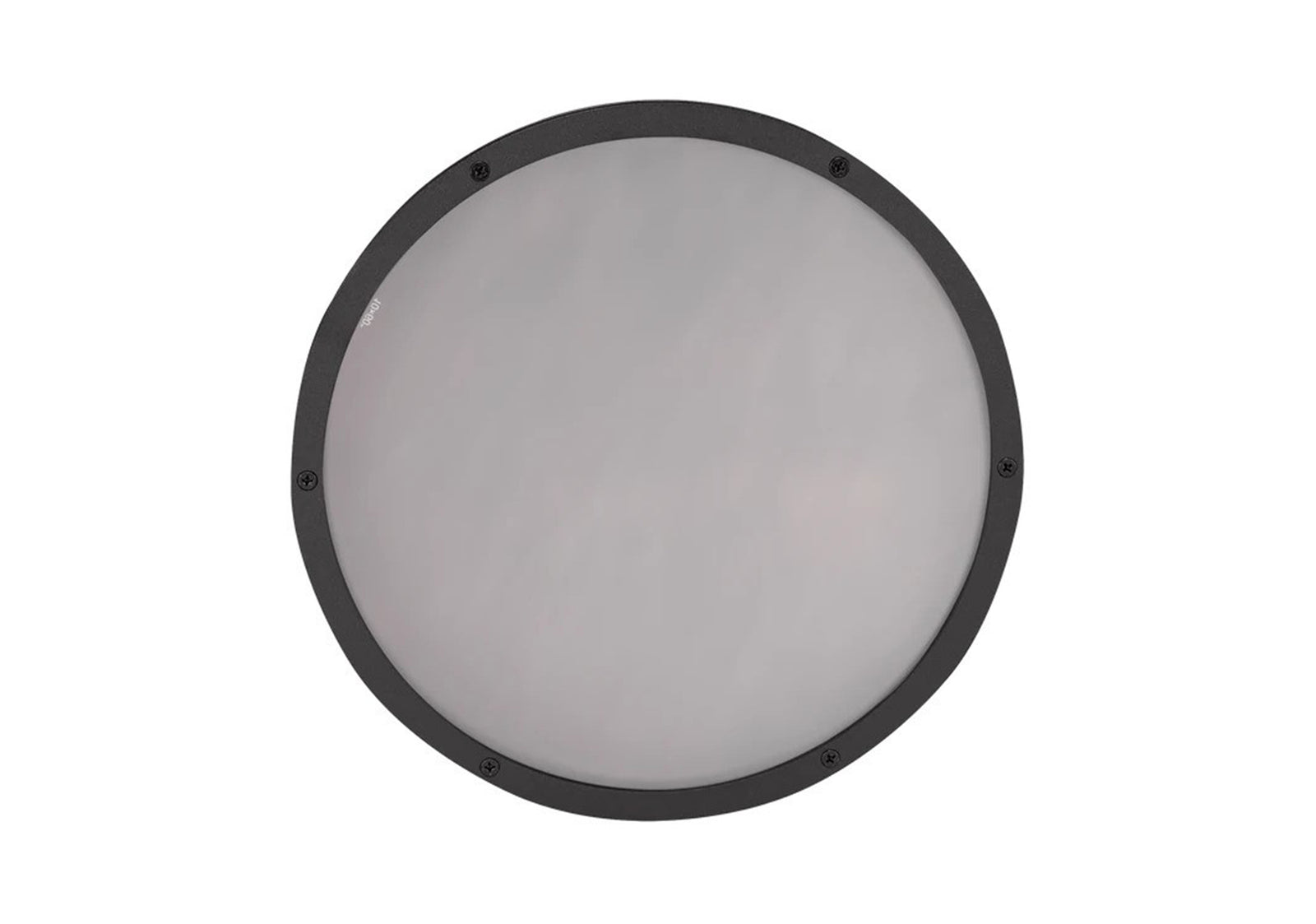 Elation Professional SIX+L L1060, Elliptical Lens 10°x 60° Degree by ELATION
