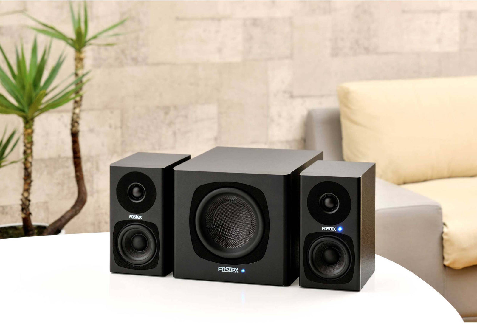 Fostex PM-SUB-MINI-2 5-Inch Active Subwoofer - 50 Watt by Fostex