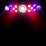 B-Stock Scratch & Dent: Eliminator Lighting Furious Five RG, 5-in-1 Lighting Effect Fixture by Eliminator Lighting