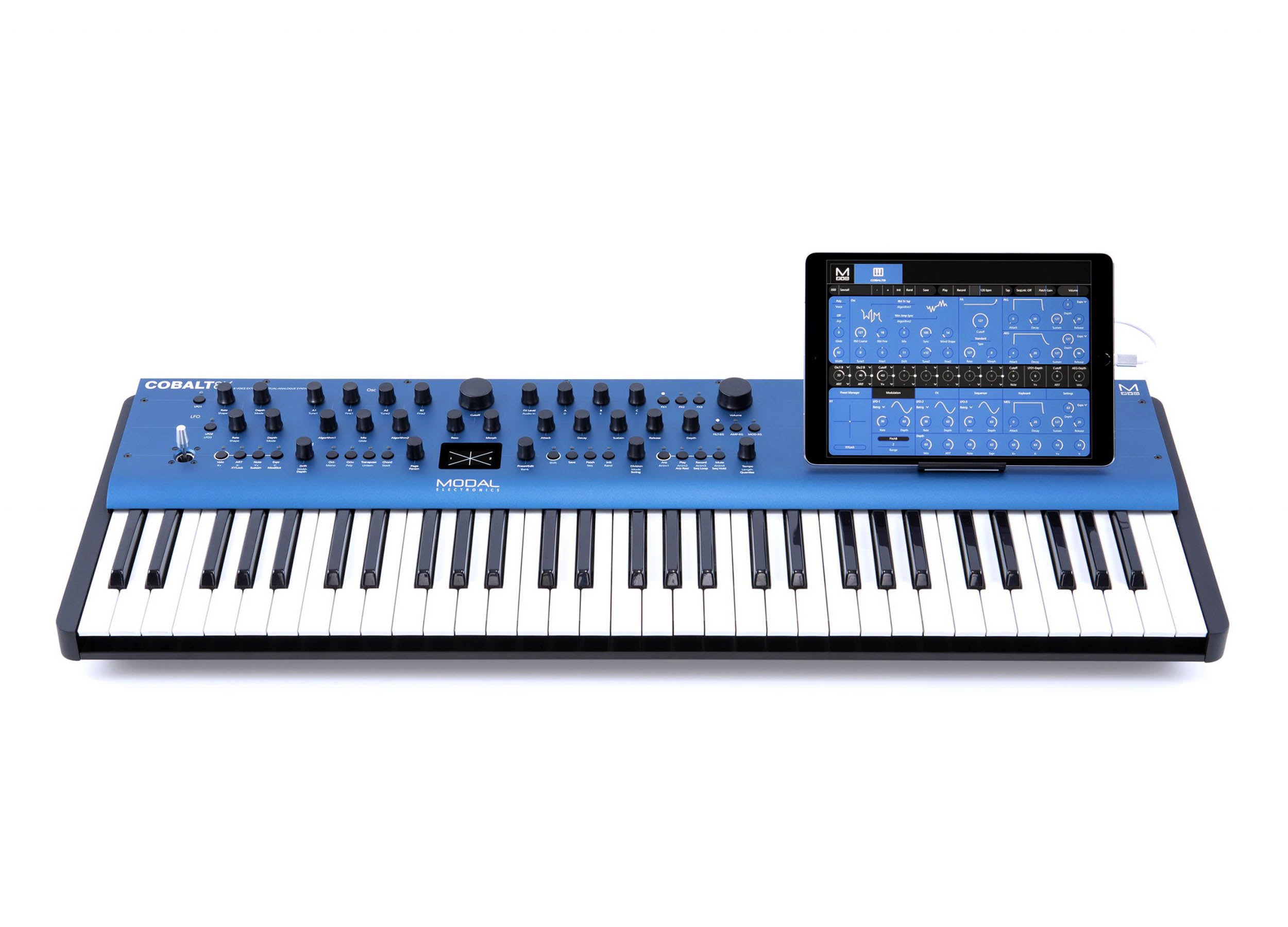 Modal COBALT8X 8-voice Extended Virtual Analog Synthesizer - 61 Key by Modal