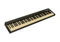 Studiologic Numa Compact SE Digital Stage Piano with Speakers - 88-Key by Studiologic