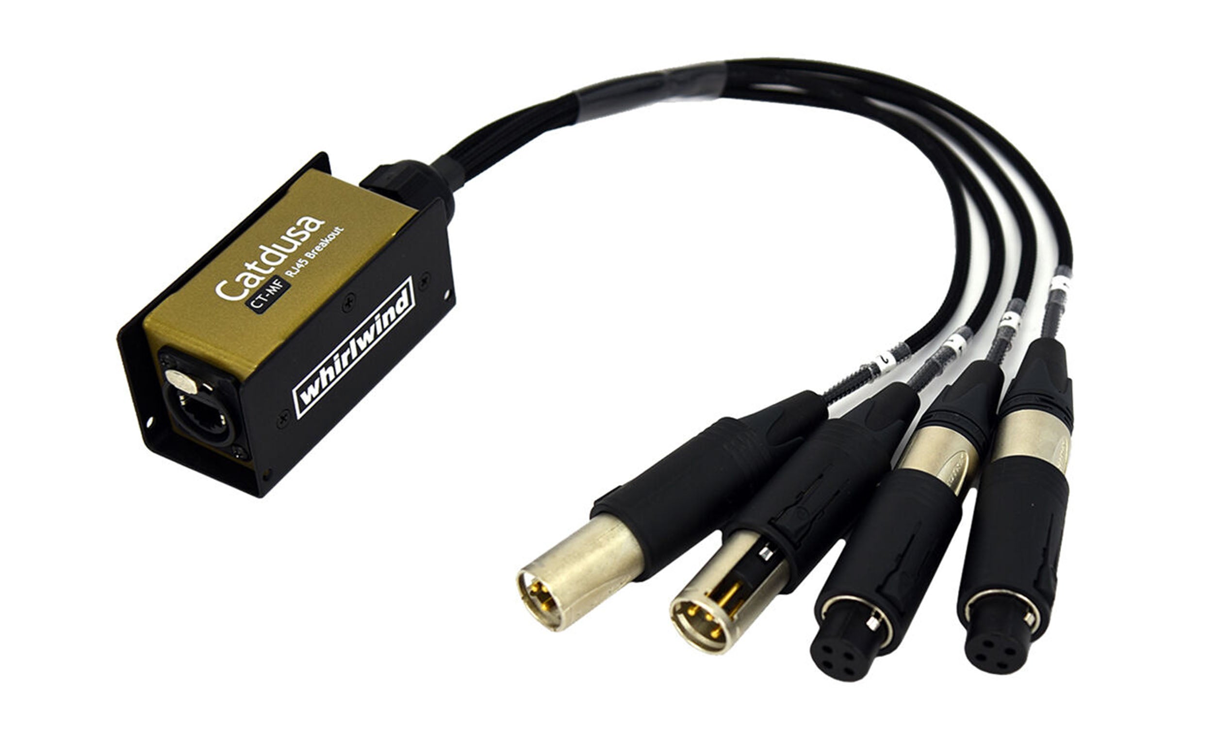 Whirlwind Catdusa CT-MF 4-Channel Interchangeable XLR Snake by Whirlwind