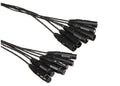 Whirlwind MT-6-F-M-25 Medusa 6-Channel XLR Female to XLR Male Snake Cable - 25 ft by Whirlwind
