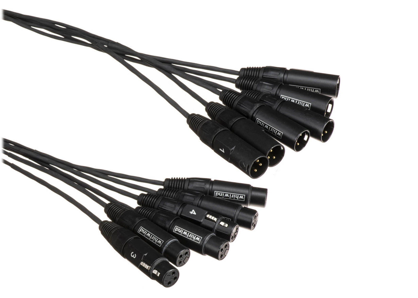 Whirlwind MT-6-F-M-25 Medusa 6-Channel XLR Female to XLR Male Snake Cable - 25 ft by Whirlwind