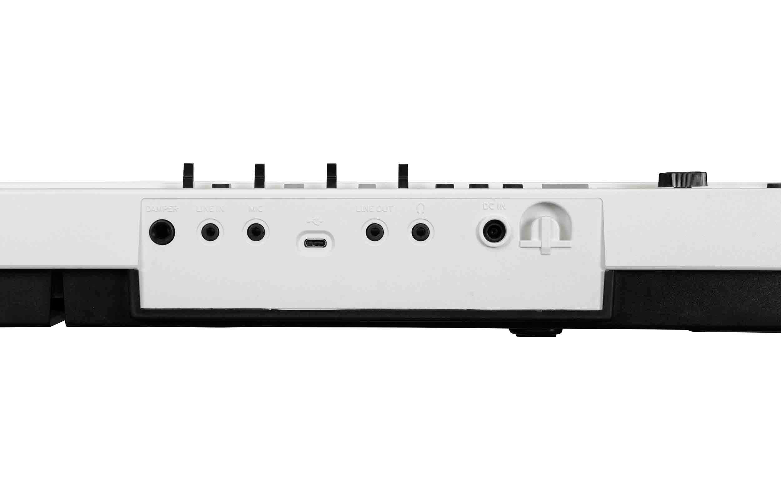 Korg L1LIVE 88-Key Digital Piano with Mic by Korg