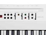 Korg L1LIVE 88-Key Digital Piano with Mic by Korg