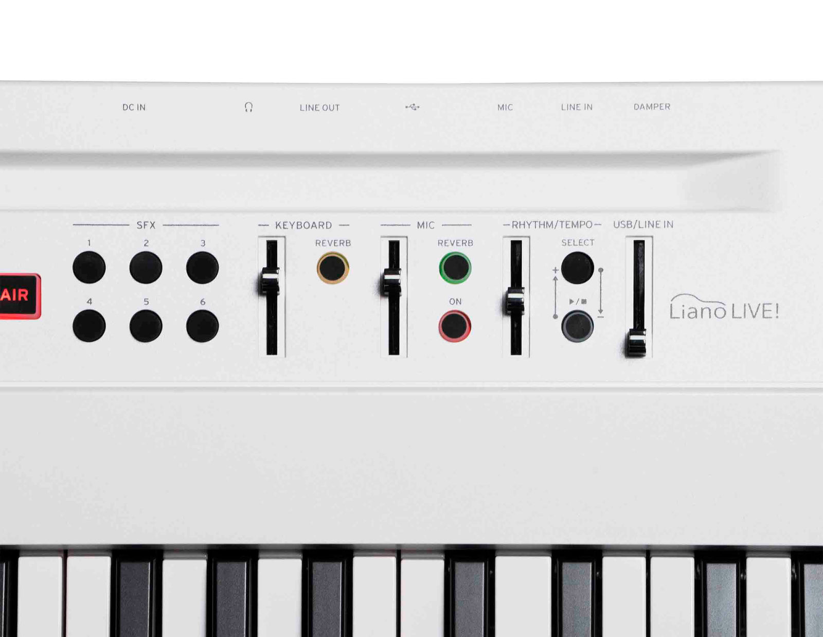 Korg L1LIVE 88-Key Digital Piano with Mic by Korg