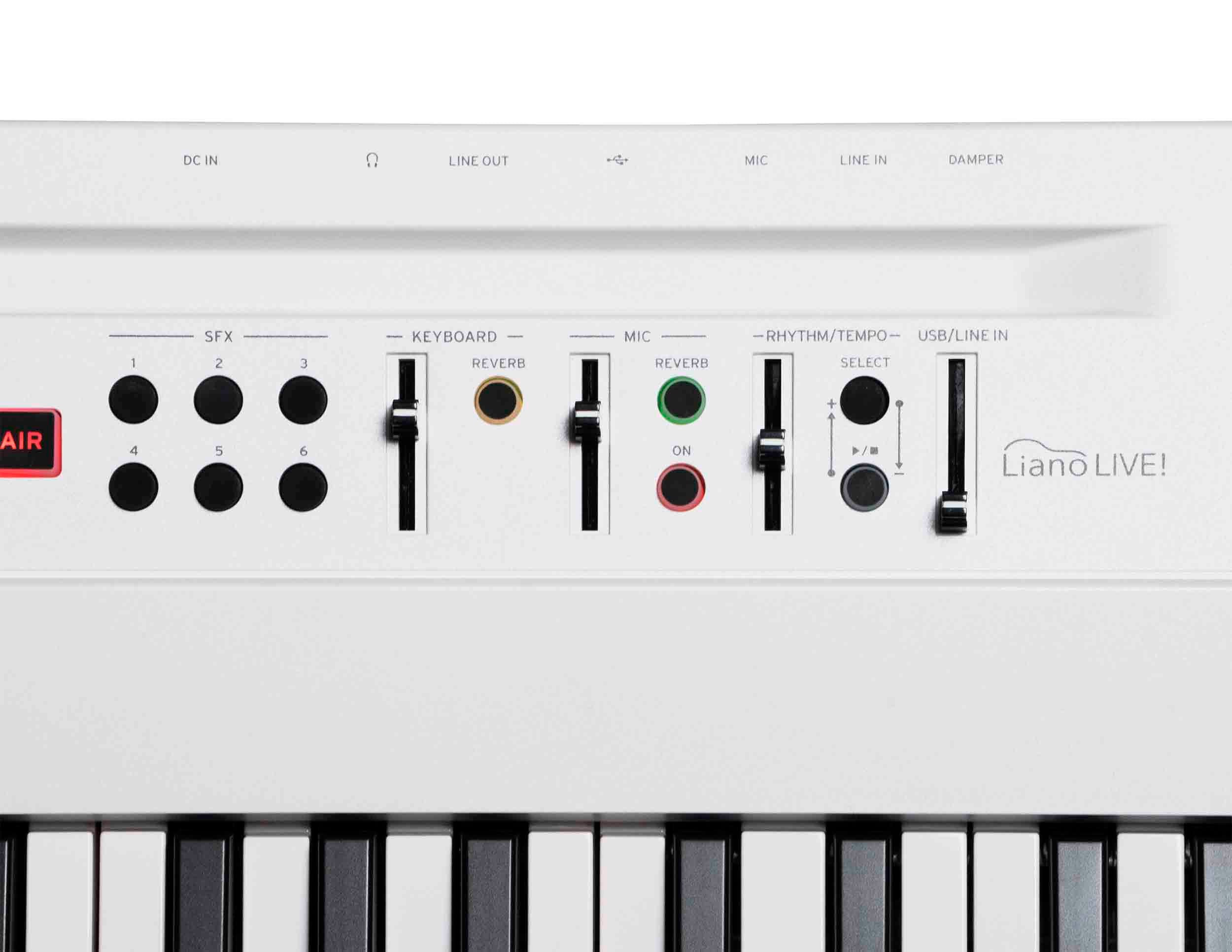 Korg L1LIVE 88-Key Digital Piano with Mic by Korg